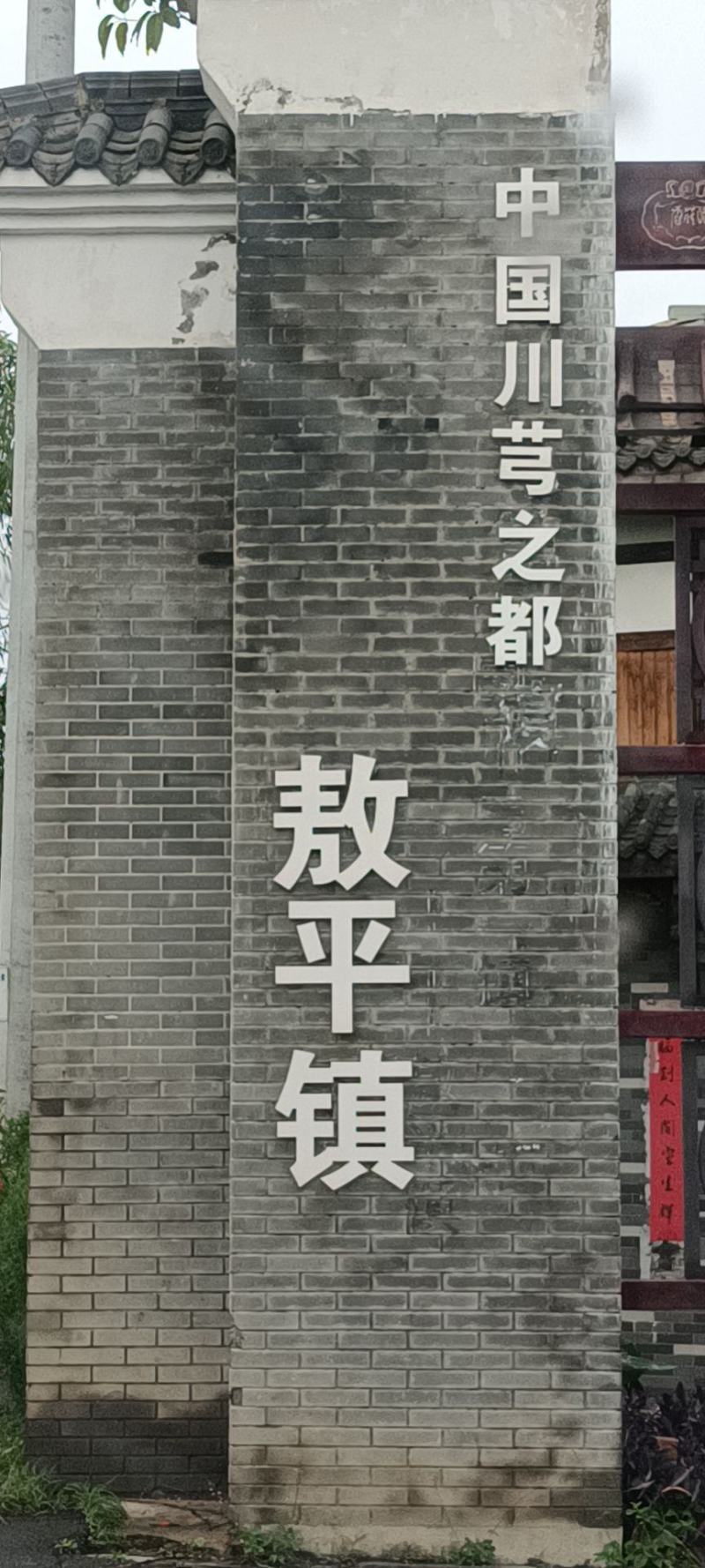 四川产地新货川芎批发，川芎片，个子可打粉，自然晒干不含硫