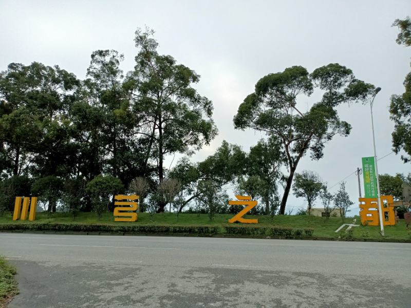 四川产地新货川芎批发，川芎片，个子可打粉，自然晒干不含硫
