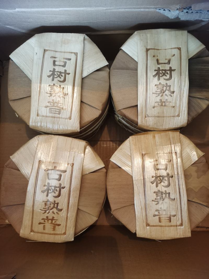 双龙单株古树