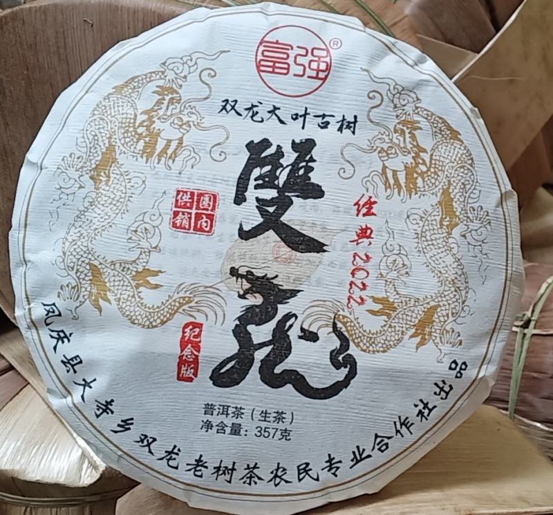 双龙单株古树