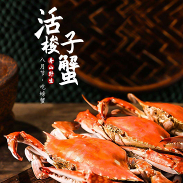 舟山码头直发梭子蟹大白蟹通货50斤装