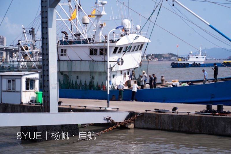 舟山码头直发梭子蟹大白蟹通货50斤装