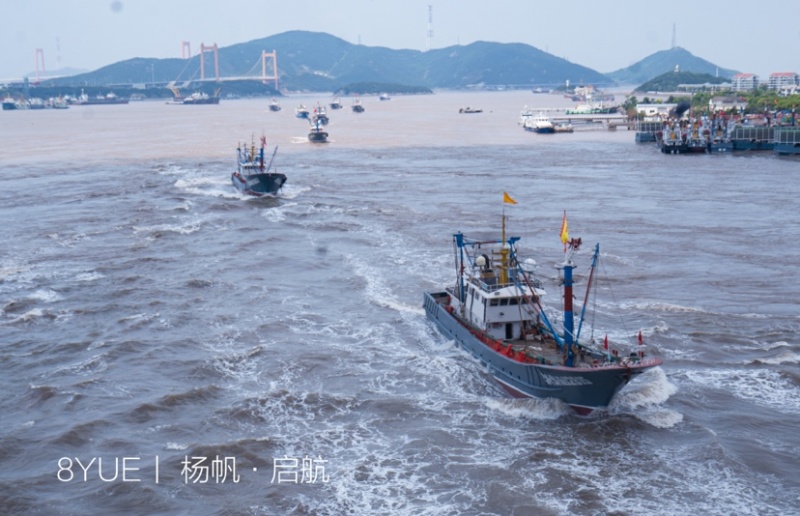 舟山码头直发梭子蟹大白蟹通货50斤装