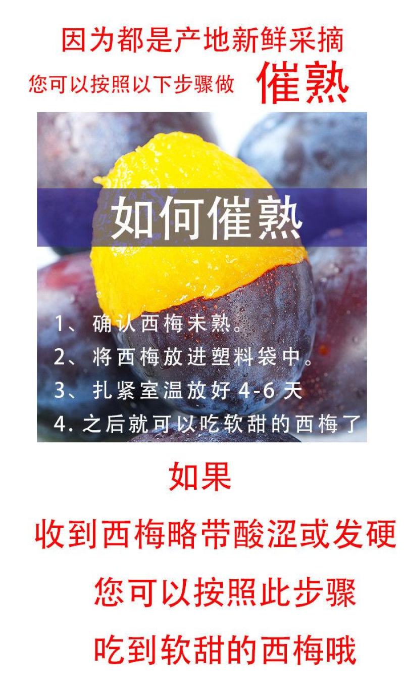 法兰西西梅