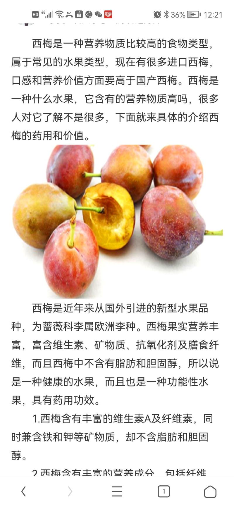 法兰西西梅