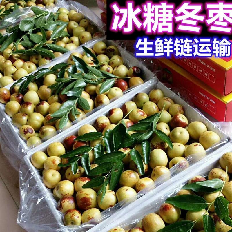 【实力】沾化冬枣精品鲜枣大量有货质量保证全国发货