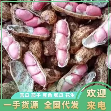 花生基地，产地直供，颗粒饱满，质量保证。长期合作