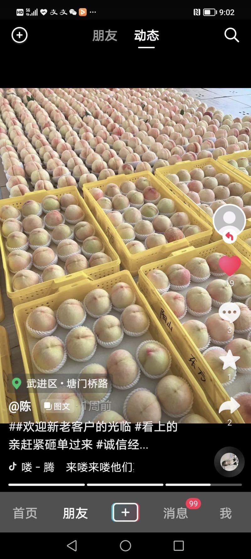 阳山水密桃