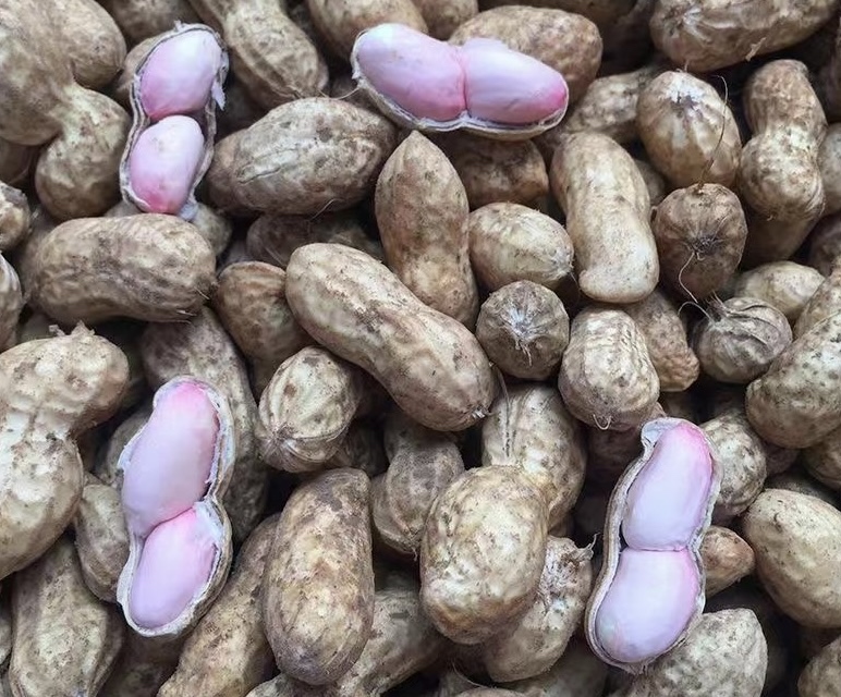 不同加工方式的花生产品