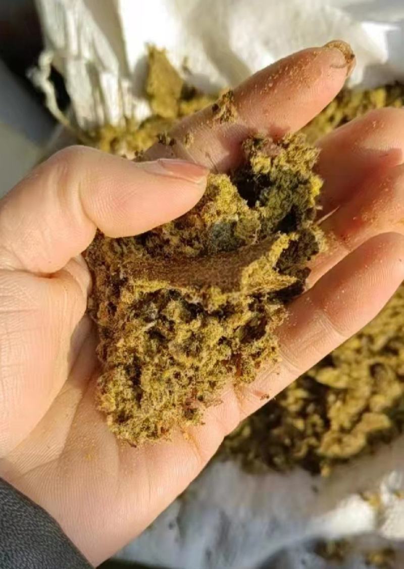 新疆优质棉饼，厂家直销