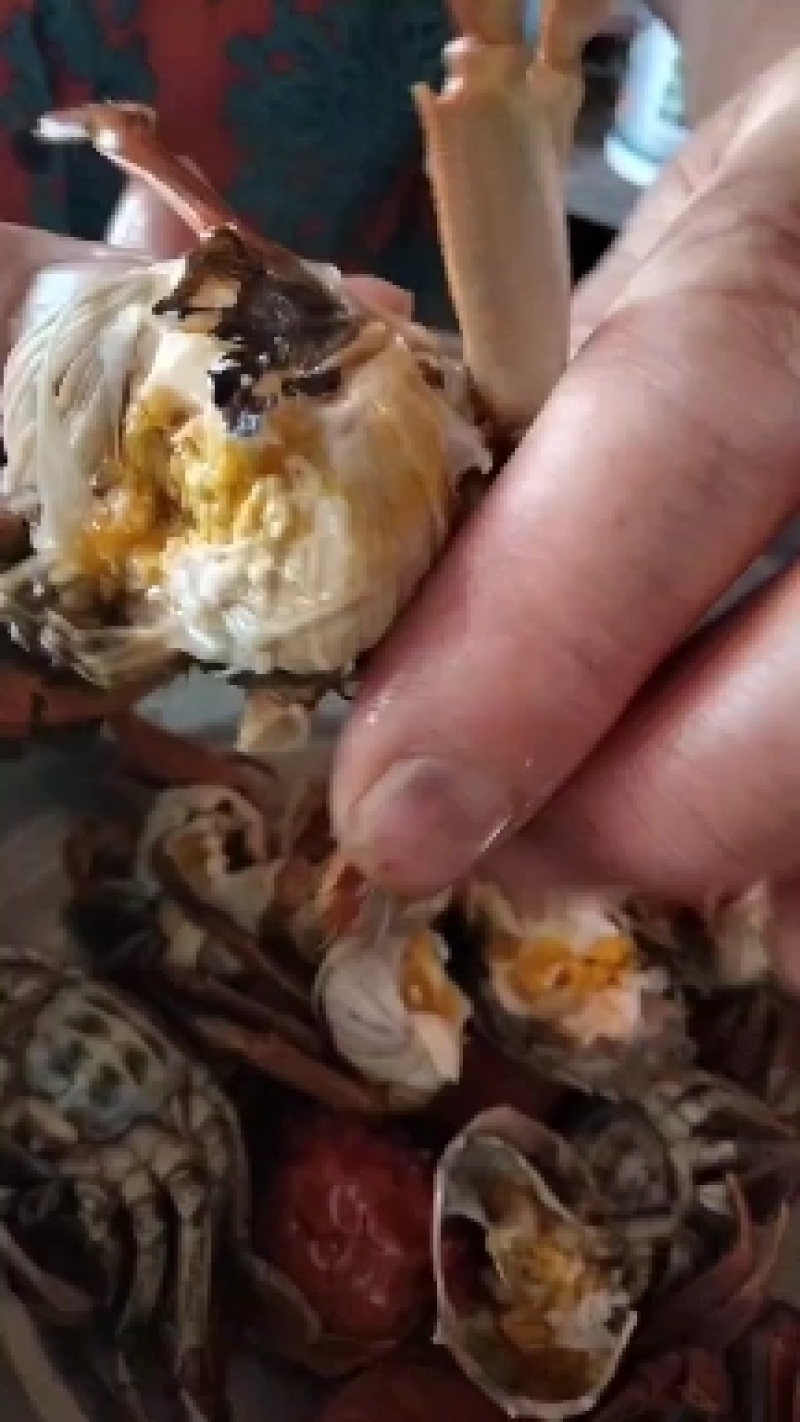 保肥保质保量规格齐全死蟹包赔，直供电商，团购，批发零售