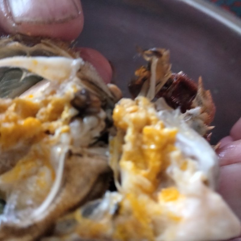 保肥保质保量规格齐全死蟹包赔，直供电商，团购，批发零售