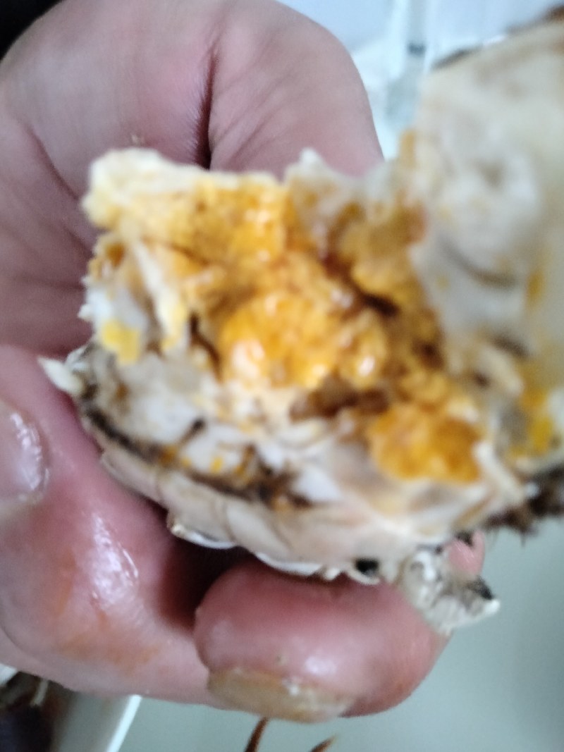 保肥保质保量规格齐全死蟹包赔，直供电商，团购，批发零售