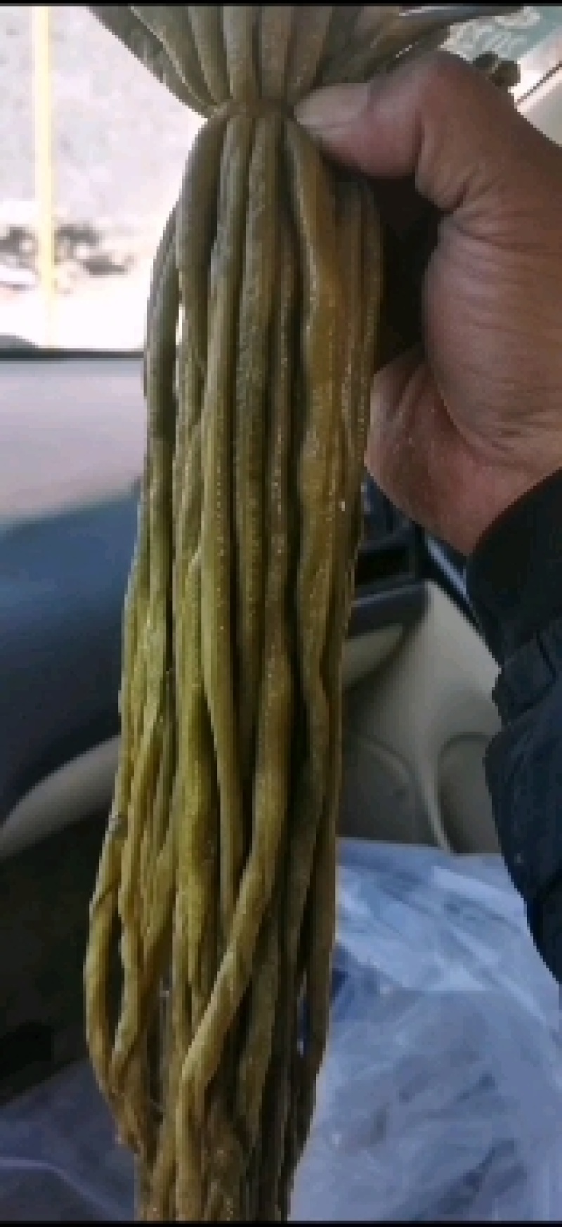 腌制豆角