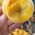 黄菊油