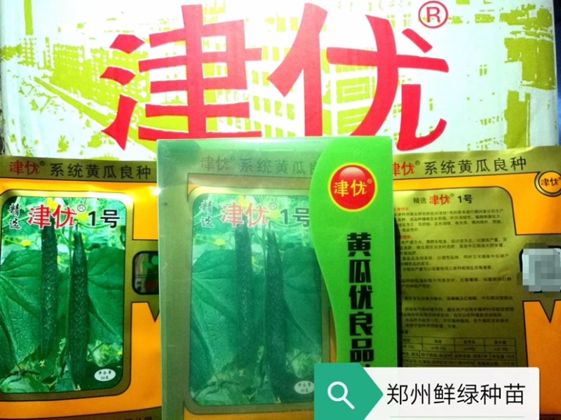 『精选』津优1号亲本提纯瓜把短色深绿有光泽质脆品质优