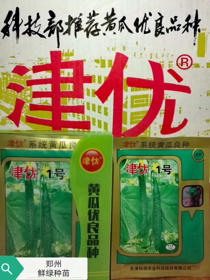 『精选』津优1号亲本提纯瓜把短色深绿有光泽质脆品质优