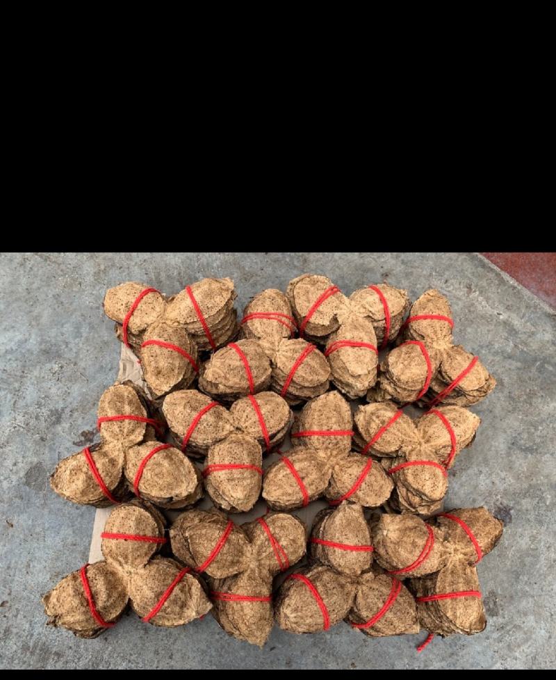 新会核心区陈皮扎陈，捆陈，5年10年15年，东甲梅岗