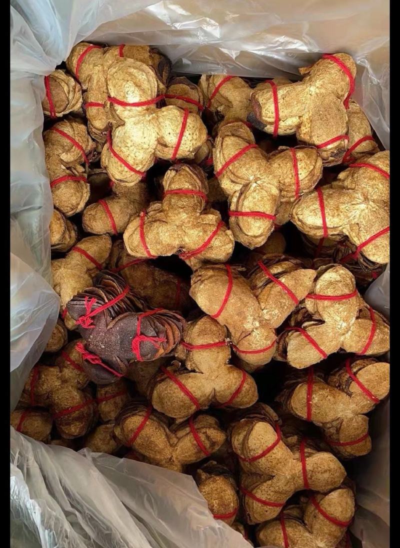 新会核心区陈皮扎陈，捆陈，5年10年15年，东甲梅岗