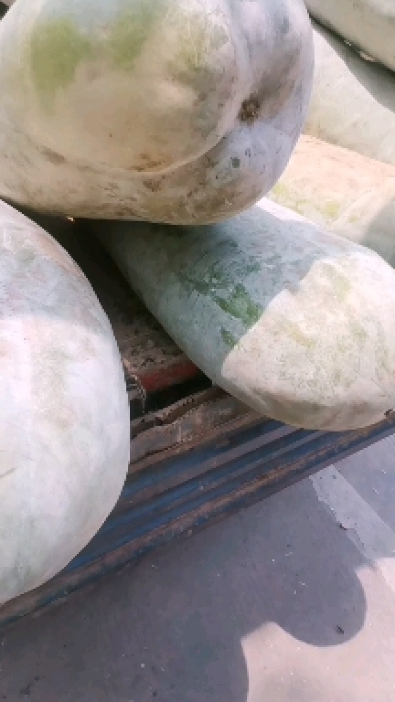 大量工厂货，需要的老板欢迎前来选购洽谈保质保量