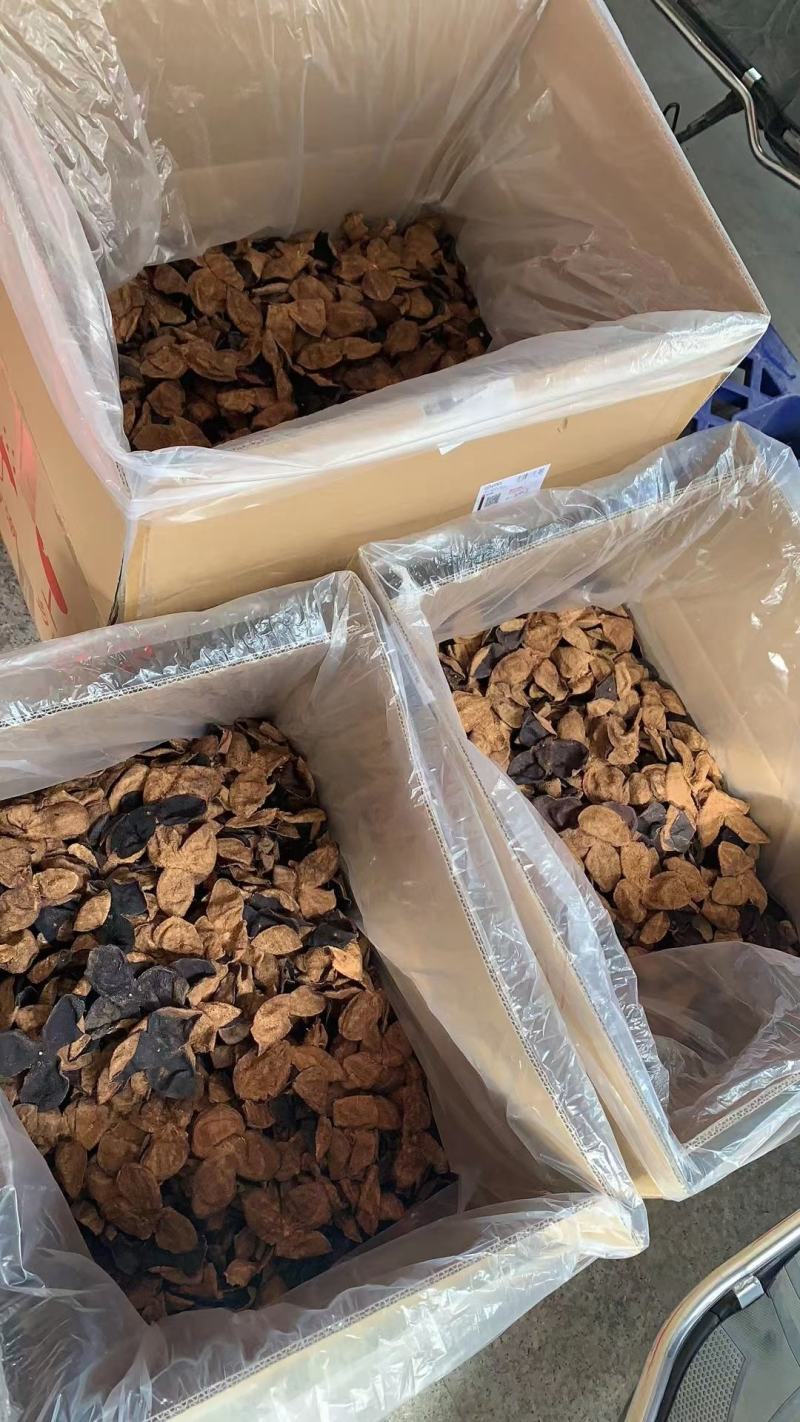 厂家大量新会陈皮，五年，十年，二十年，特别适合带货族销售