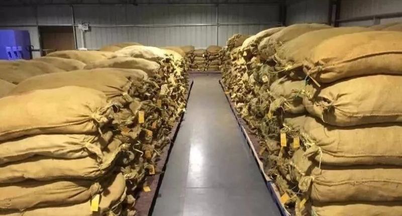 厂家新会老陈皮天马，梅江东甲，连锁企业食品标准