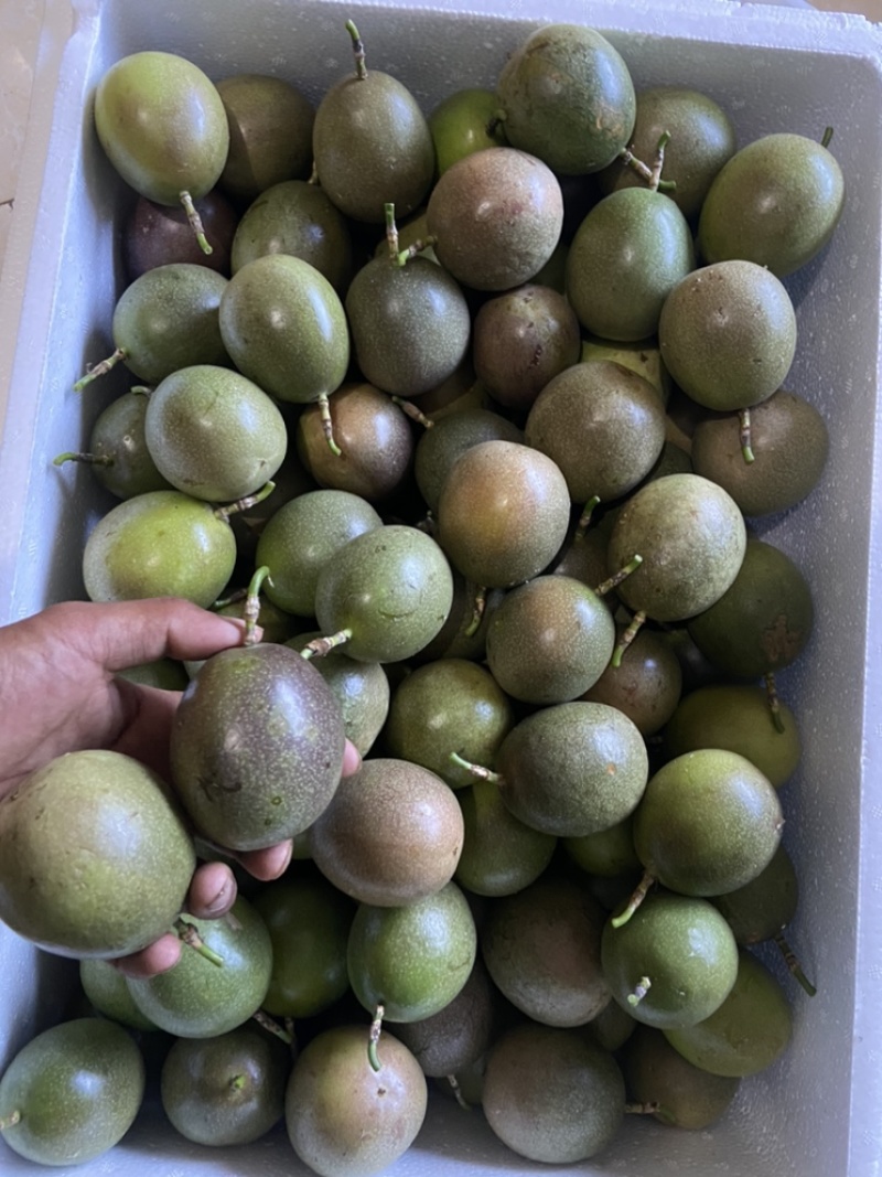 百香果