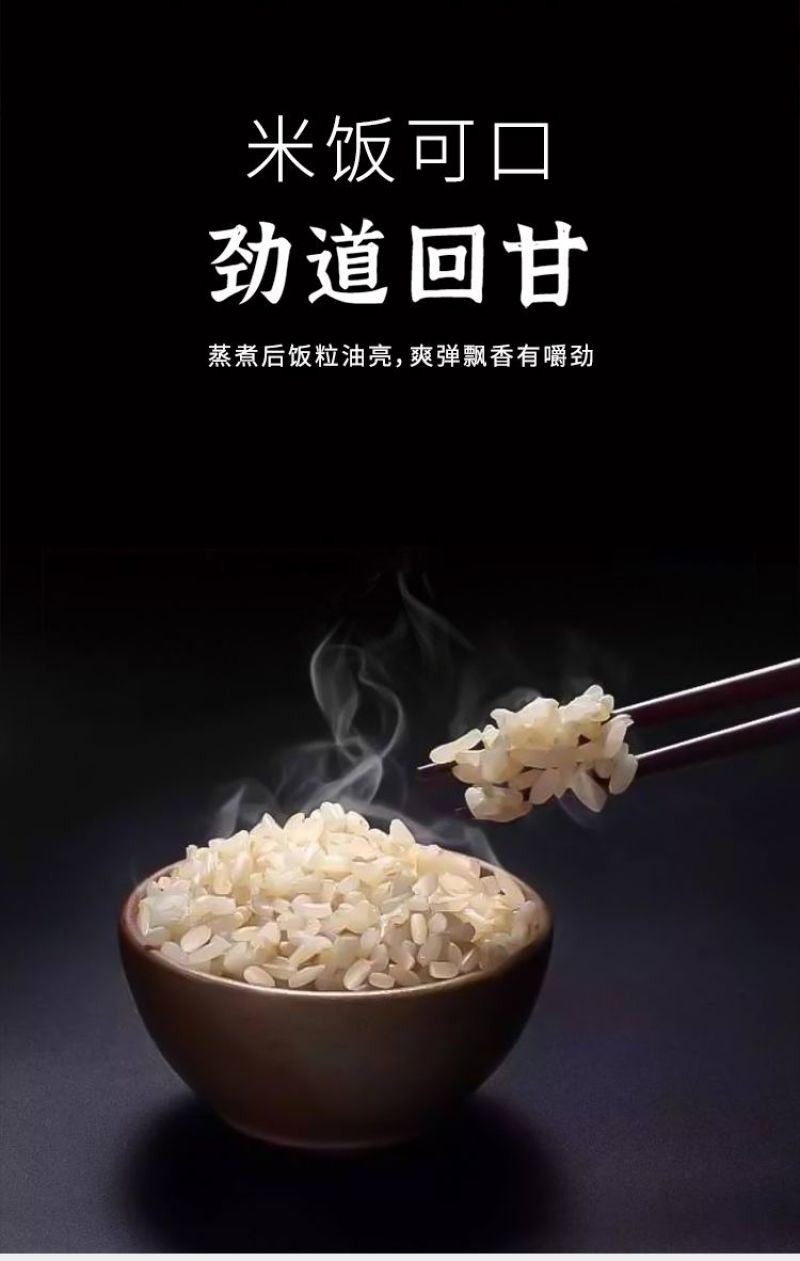 2022年新糙米粗粮低脂代五谷杂粮