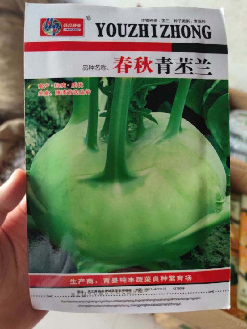 春秋青苤蓝种子