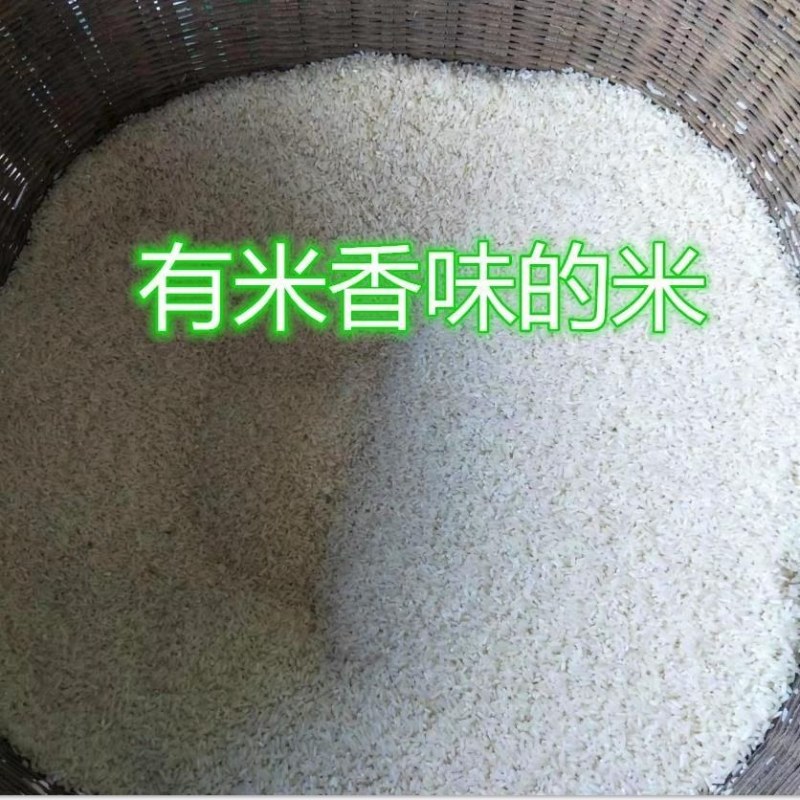 2022新米上市大米新鲜现碾现发农村大米长粒香大米稻鱼