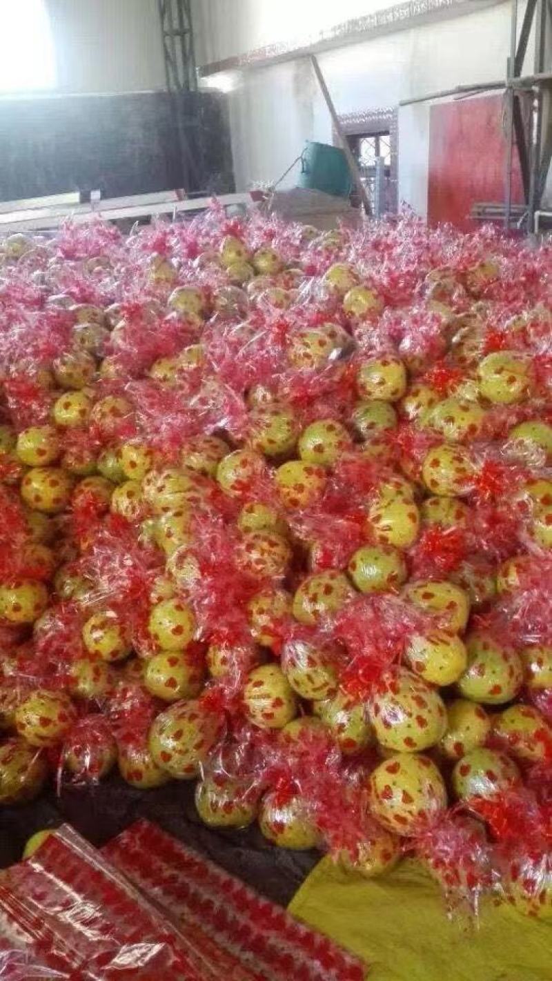 红肉蜜柚三红蜜柚产地直供！欢迎实地考察