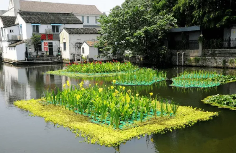 人工浮岛制作配合水生植物种植！打造水上湿地！技术指导施工
