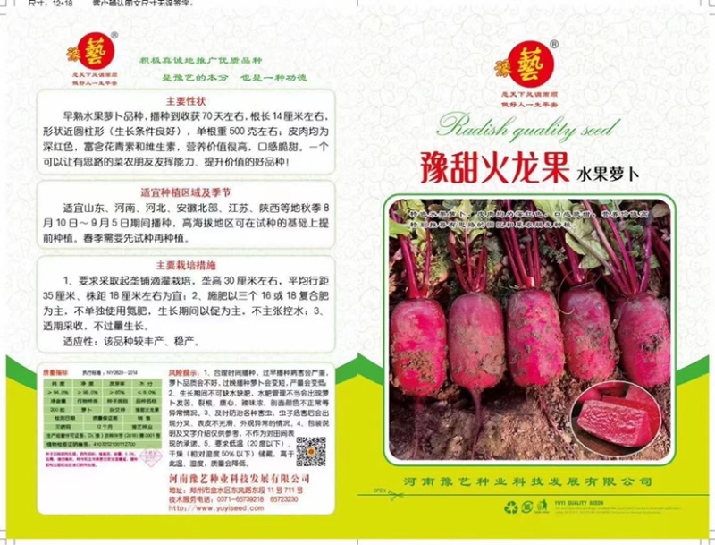 豫艺火龙果水果萝卜种子凤梨萝卜种子杂交种