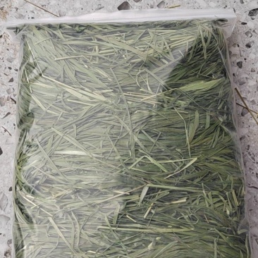 提摩西烘干草