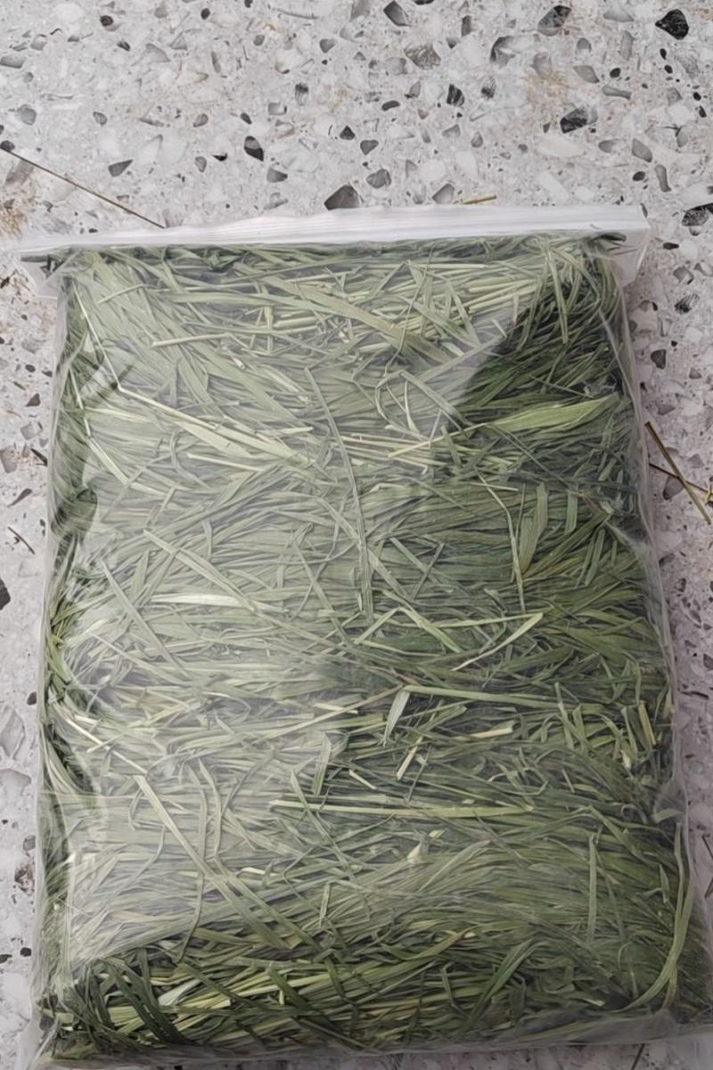 提摩西烘干草