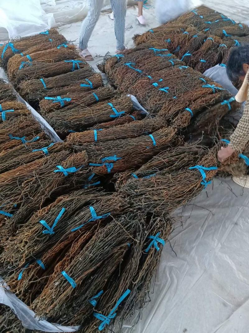 大量供应干豆角