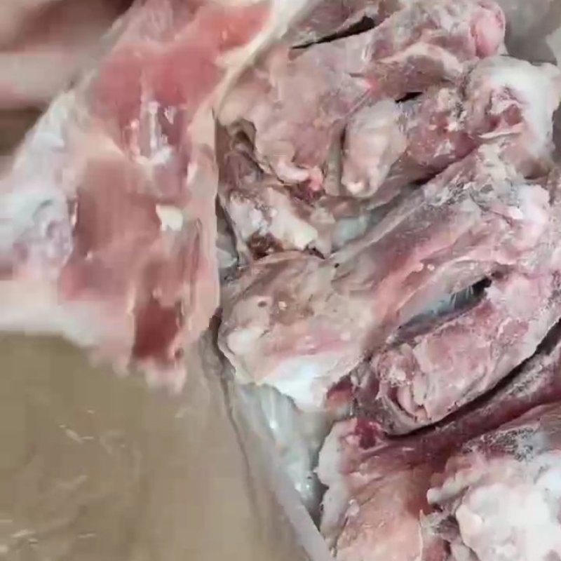 前棒骨