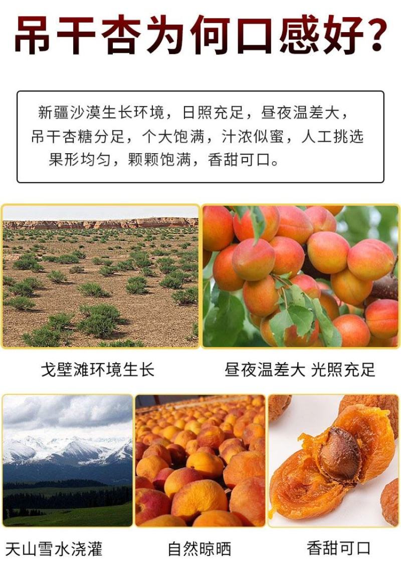 新疆吊干杏四团树上干杏脯***天然特级杏干2022年新货