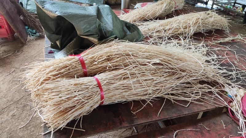 中草药白茅根常年有货规格齐全品质保证实力代办批发