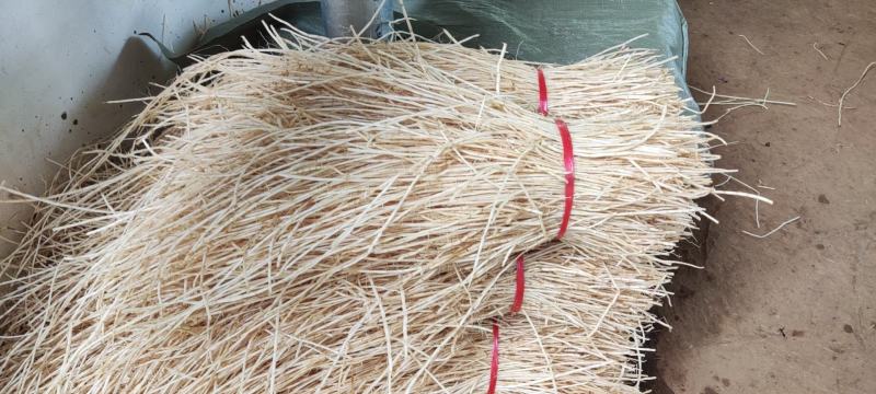 中草药白茅根常年有货规格齐全品质保证实力代办批发