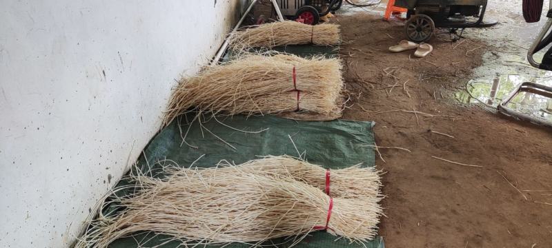 中草药白茅根常年有货规格齐全品质保证实力代办批发