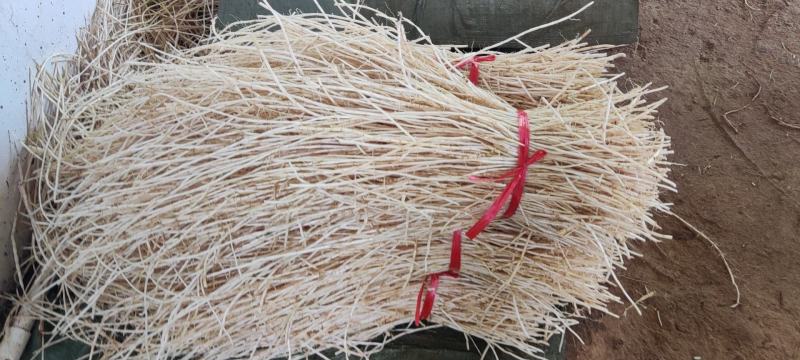 中草药白茅根常年有货规格齐全品质保证实力代办批发