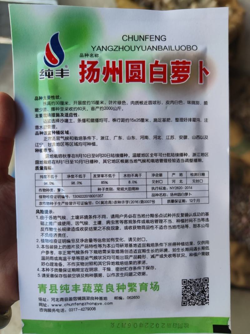 扬州圆白萝卜种子，