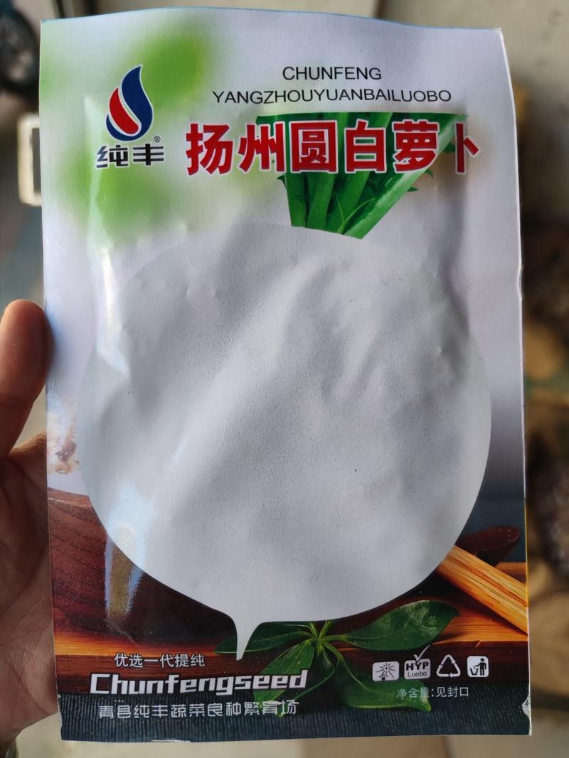 扬州圆白萝卜种子，
