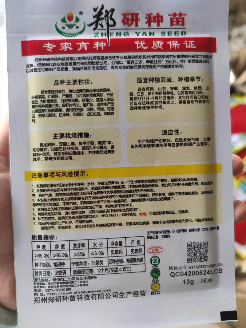 郑研黄心菜种子，13克
