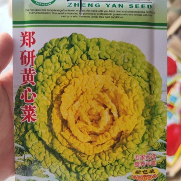 郑研黄心菜种子，13克