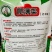 爬满架芸豆种子菜豆早熟架豆嫩白绿色老来嫩架豆种子