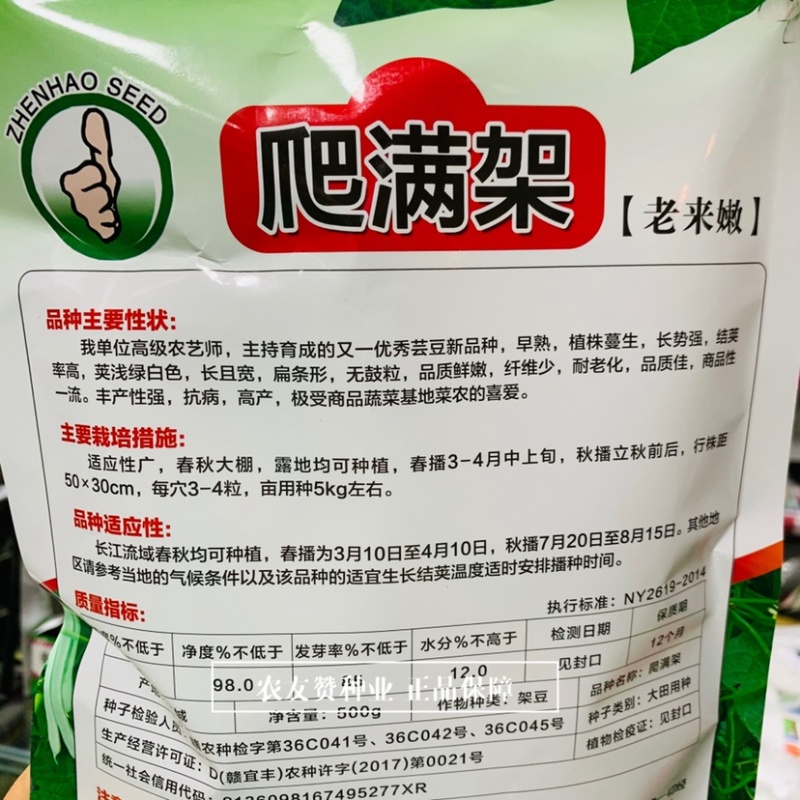 爬满架芸豆种子菜豆早熟架豆嫩白绿色老来嫩架豆种子