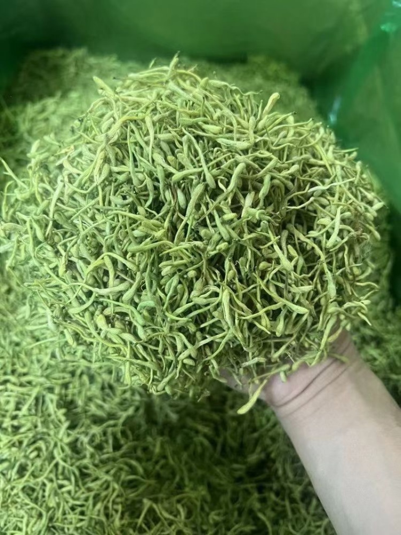 金银行优质银花花茶带绒毛颜色青金银花茶