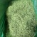金银行优质银花花茶带绒毛颜色青金银花茶